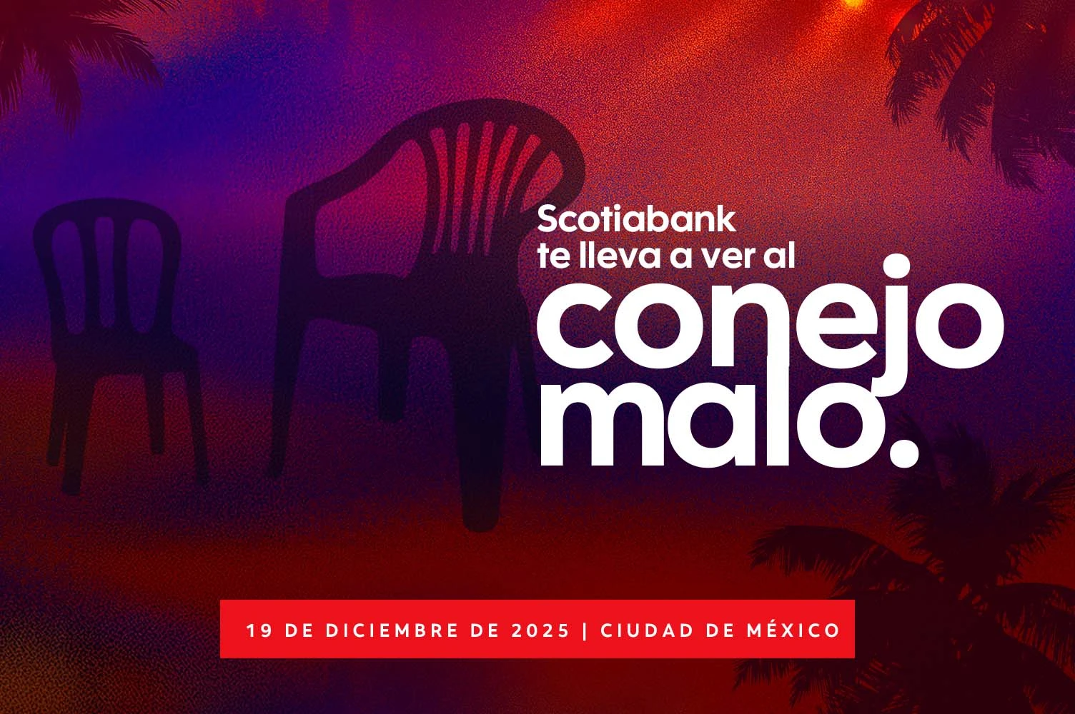 imagen-1