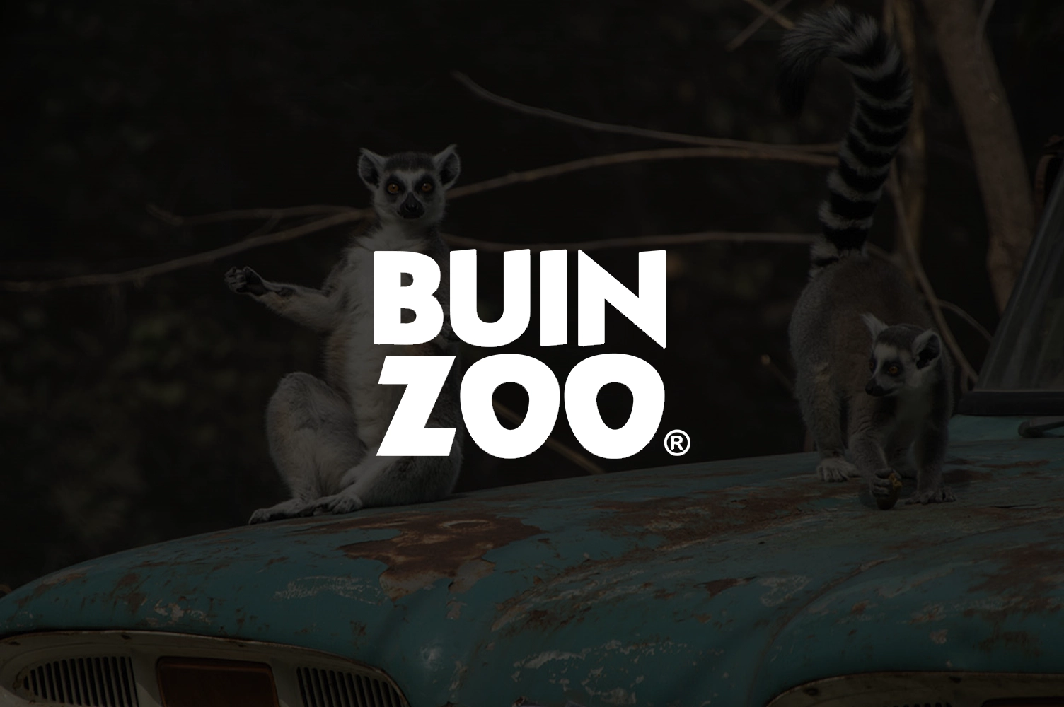 buin zoo