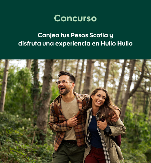 Huilo Huilo