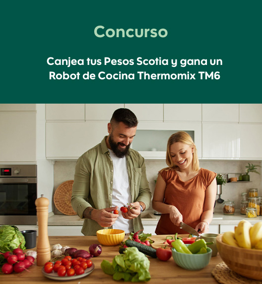 Thermomix