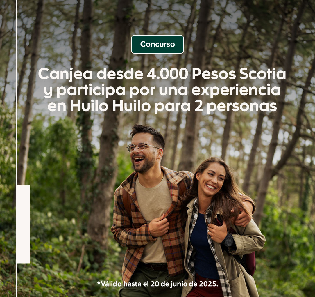 Imagen de Pop Up